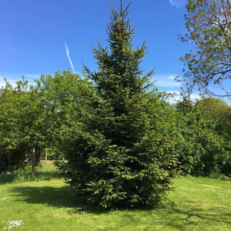 Lieu Dit Le Jardin Saint-Lambert  Eksteriør billede